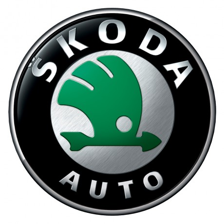 Что обозначает значок skoda